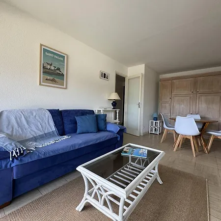 Appartement Moderne 2* Avec Balcon, Centre St Palais, Parking Securise - Fr-1-738-38 *